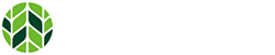环球国际官网