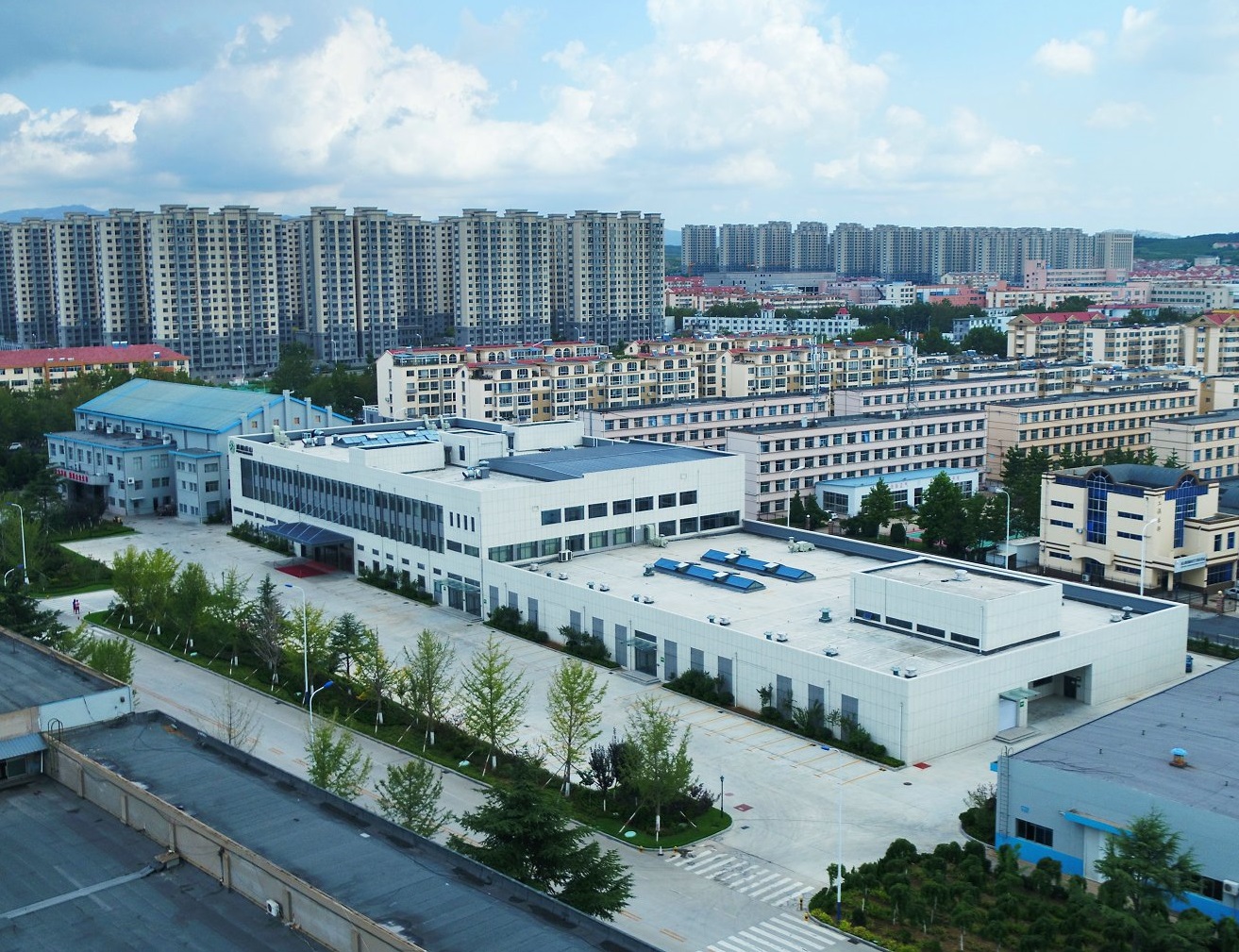 环球国际蝉联中国轮胎能效领跑者